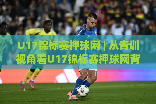 U17锦标赛押球网 | 从青训视角看U17锦标赛押球网背后的数据逻辑与观赛新思路🌸最全手机信誉堵球网视频半全场动画水位精彩片段流畅