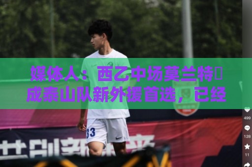 媒体人：西乙中场莫兰特‌成泰山队新外援首选，已经在走手续