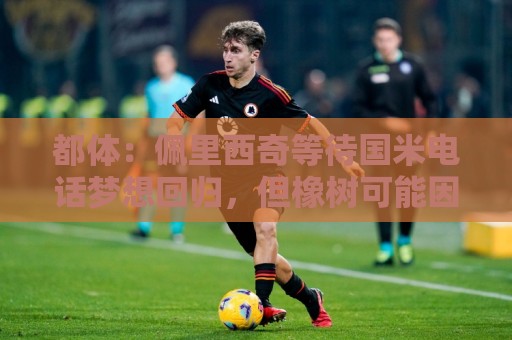都体:佩里西奇等待国米电话梦想回归,但橡树可能因年龄原因否决 都体:佩里西奇等待国米电话梦想回归,但橡树可能因年龄原因否决