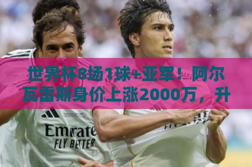 世界杯8场1球+亚军!阿尔瓦雷斯身价上涨2000万,升至1.2亿 世界杯8场1球+亚军!阿尔瓦雷斯身价上涨2000万,升至1.2亿