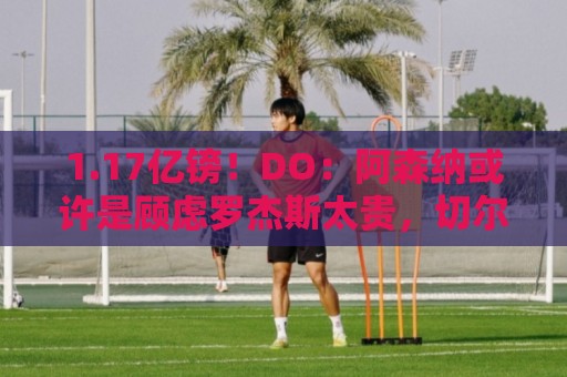 1.17亿镑!DO:阿森纳或许是顾虑罗杰斯太贵,切尔西直接全额支付 1.17亿镑!DO:阿森纳或许是顾虑罗杰斯太贵,切尔西直接全额支付