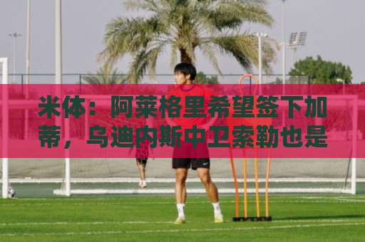 米体：阿莱格里希望签下加蒂，乌迪内斯中卫索勒也是引援候选