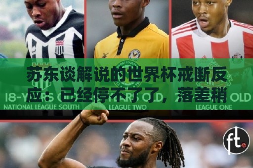 苏东谈解说的世界杯戒断反应:已经停不了了,落差稍大得适应 苏东谈解说的世界杯戒断反应:已经停不了了,落差稍大得适应