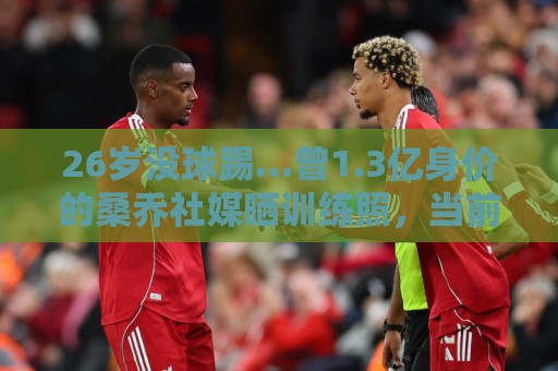 26岁没球踢…曾1.3亿身价的桑乔社媒晒训练照,当前无合同+无下家 26岁没球踢…曾1.3亿身价的桑乔社媒晒训练照,当前无合同+无下家