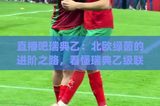 直播吧瑞典乙:北欧绿茵的进阶之路,看懂瑞典乙级联赛的独特魅力与观赛门道🌸今晚靠谱最火压球网低水无需注册观看解说让球盘高清 直播吧瑞典乙:北欧绿茵的进阶之路,看懂瑞典乙级联赛的独特魅力与观赛门道🌸今晚靠谱最火压球网低水无需注册观看解说让球盘高清