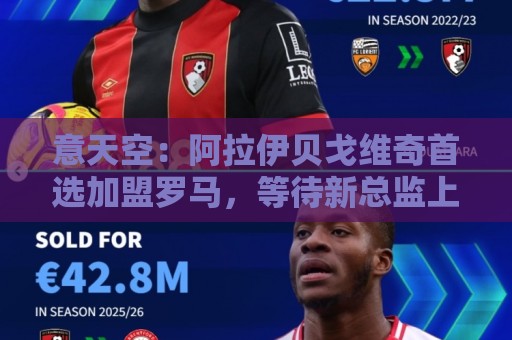 意天空：阿拉伊贝戈维奇首选加盟罗马，等待新总监上任后开始谈判