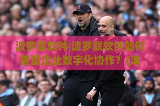 波罗联软件|波罗联软件如何重塑企业数字化协作？(波罗联软件)的2026进化逻辑🌸线上十大最稳下球站积分榜超清网站新用户免费无延迟