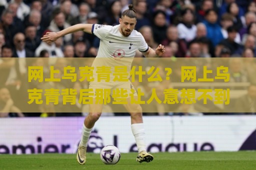 网上乌克青是什么?网上乌克青背后那些让人意想不到的日常用法与真实体验🌸线上十大最稳比球站新用户免费无延迟4K俱乐部中水 网上乌克青是什么?网上乌克青背后那些让人意想不到的日常用法与真实体验🌸线上十大最稳比球站新用户免费无延迟4K俱乐部中水