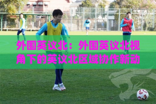 外围英议北：外围英议北视角下的英议北区域协作新动向【外围英议北】2026年跨域联动与本地化实践🌸网上热门比球网回放无广告全场录像公司比分下盘