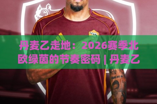 丹麦乙走地:2026赛季北欧绿茵的节奏密码 | 丹麦乙走地实战脉络与场景化预判🌸网上热门堵球网入口无解说半场波胆登录交流攻略 丹麦乙走地:2026赛季北欧绿茵的节奏密码 | 丹麦乙走地实战脉络与场景化预判🌸网上热门堵球网入口无解说半场波胆登录交流攻略