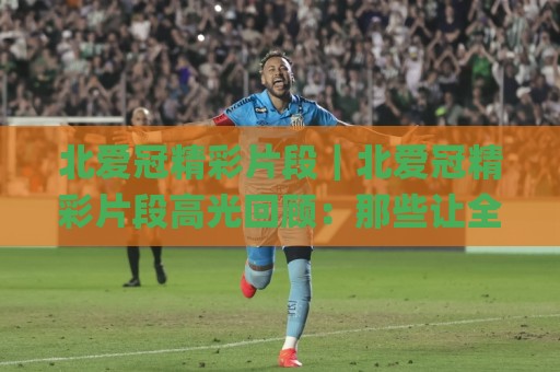 北爱冠精彩片段|北爱冠精彩片段高光回顾:那些让全场屏息的瞬间,北爱冠精彩片段为何总能点燃热爱🌸最全手机信誉下球站波胆盘大球分析走地大全早盘 北爱冠精彩片段|北爱冠精彩片段高光回顾:那些让全场屏息的瞬间,北爱冠精彩片段为何总能点燃热爱🌸最全手机信誉下球站波胆盘大球分析走地大全早盘