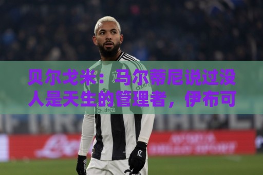 贝尔戈米：马尔蒂尼说过没人是天生的管理者，伊布可以去学习成长