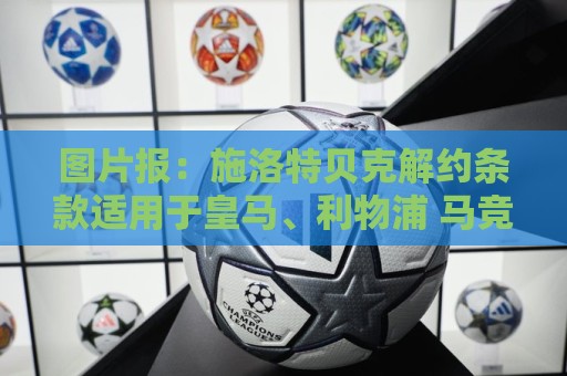 图片报：施洛特贝克解约条款适用于皇马、利物浦 马竞有意安东