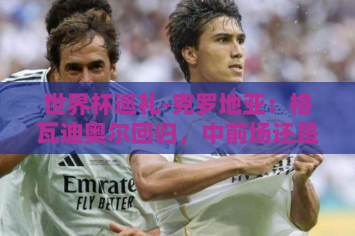 世界杯巡礼-克罗地亚：格瓦迪奥尔回归，中前场还是靠魔笛佩剑