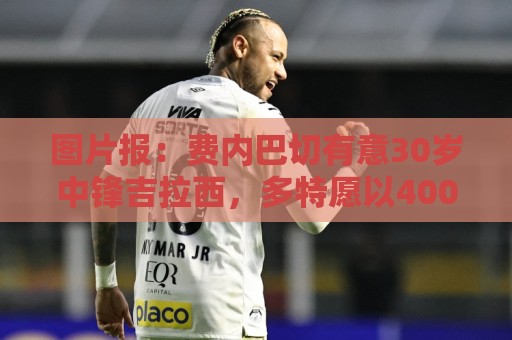 图片报:费内巴切有意30岁中锋吉拉西,多特愿以4000万欧元出售 图片报:费内巴切有意30岁中锋吉拉西,多特愿以4000万欧元出售