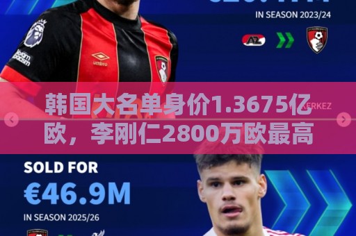 韩国大名单身价1.3675亿欧，李刚仁2800万欧最高，孙兴慜1700万欧