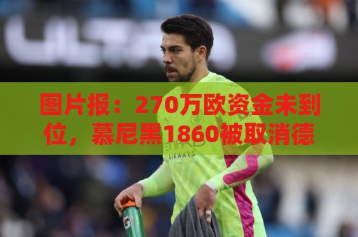 图片报:270万欧资金未到位,慕尼黑1860被取消德丙参赛资格 图片报:270万欧资金未到位,慕尼黑1860被取消德丙参赛资格