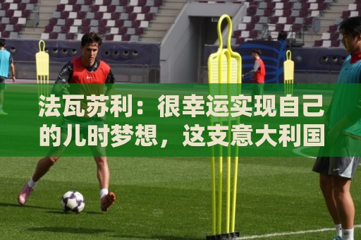 法瓦苏利:很幸运实现自己的儿时梦想,这支意大利国家队非常团结 法瓦苏利:很幸运实现自己的儿时梦想,这支意大利国家队非常团结