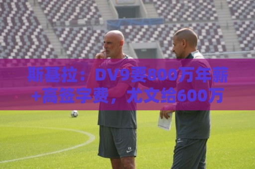 斯基拉:DV9要800万年薪+高签字费,尤文给600万欧+100万欧奖金 斯基拉:DV9要800万年薪+高签字费,尤文给600万欧+100万欧奖金