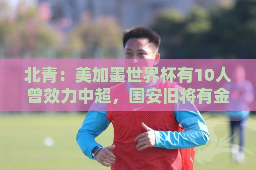 北青：美加墨世界杯有10人曾效力中超，国安旧将有金玟哉等3人