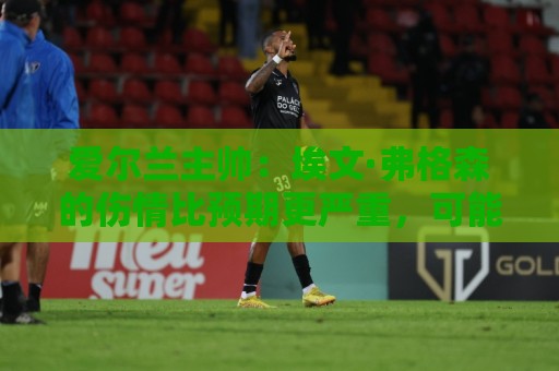 爱尔兰主帅:埃文·弗格森的伤情比预期更严重,可能要10月份康复 爱尔兰主帅:埃文·弗格森的伤情比预期更严重,可能要10月份康复