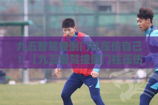 九五智驾撞倒门柱压伤自己！【九五智驾撞倒门柱压伤自己】门柱：我还没发力你就倒下了？