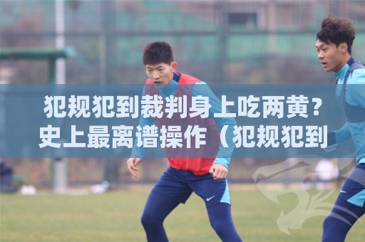 犯规犯到裁判身上吃两黄?史上最离谱操作(犯规犯到裁判身上吃两黄)笑到肚子疼 犯规犯到裁判身上吃两黄?史上最离谱操作(犯规犯到裁判身上吃两黄)笑到肚子疼