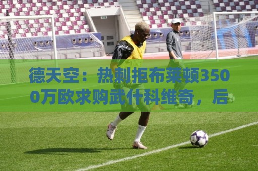 德天空:热刺拒布莱顿3500万欧求购武什科维奇,后者将发起新报价 德天空:热刺拒布莱顿3500万欧求购武什科维奇,后者将发起新报价
