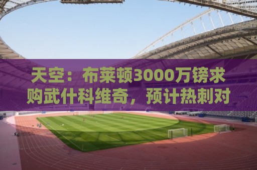 天空:布莱顿3000万镑求购武什科维奇,预计热刺对其估值超6000万 天空:布莱顿3000万镑求购武什科维奇,预计热刺对其估值超6000万